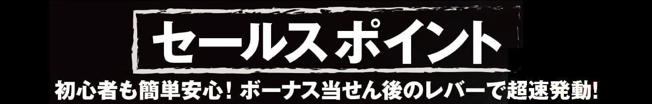 セールスポイント　初心者も簡単安心！ボーナス当せん後のレバーで超速発動！