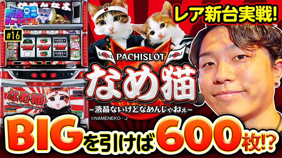 DMMぱちタウン サムネイル画像
